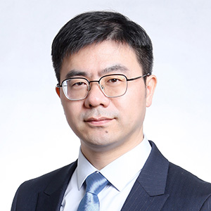 Prof Hong MAFellow