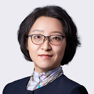 Assoc Prof Yu QINFellow