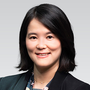 Assoc Prof Yun LOUFellow