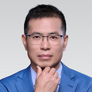 Prof Tianyu ZHANGSenior Fellow