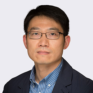 Prof Zhi DASenior Fellow