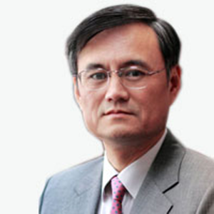 Prof Yingyi QianSenior Fellow
